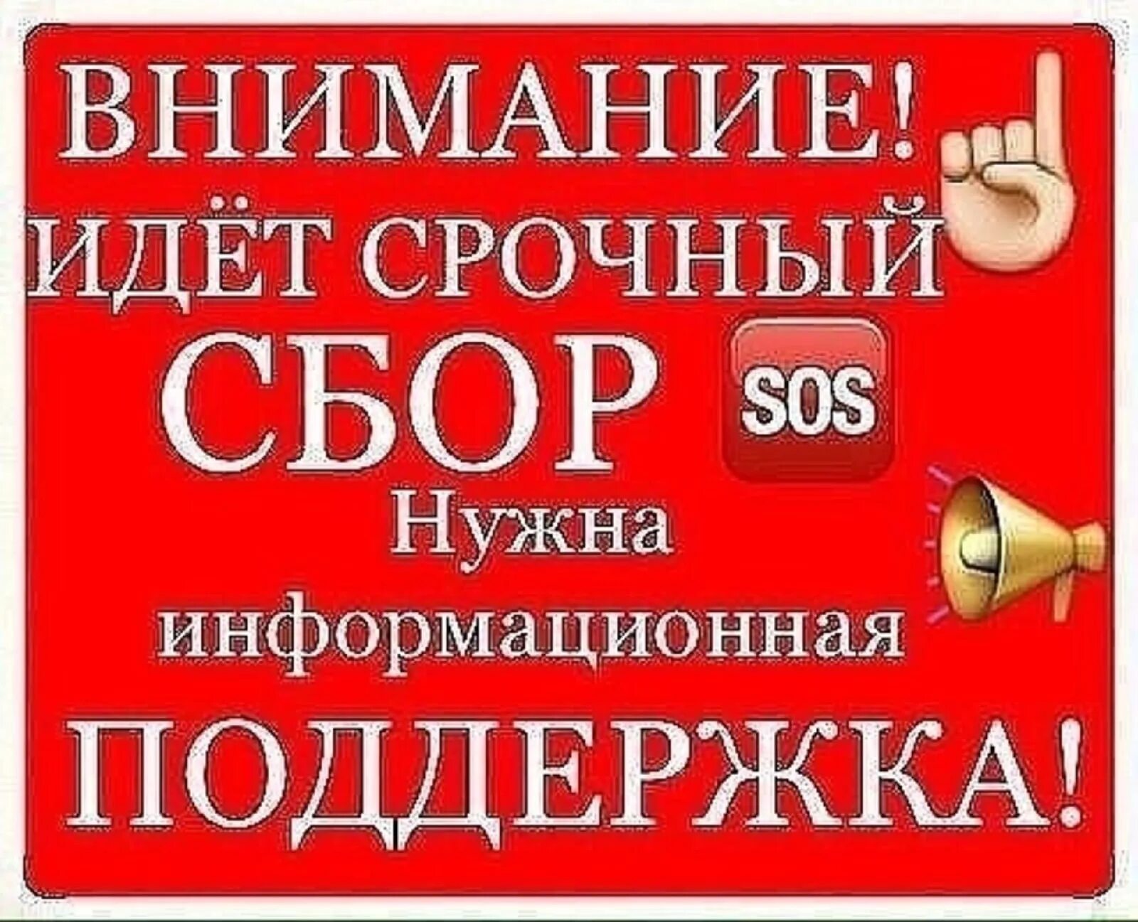 Деньги на операцию срочно. Срочный сбор. Внимание срочный сбор. Нужна информационная помощь. Срочный сбор денег.