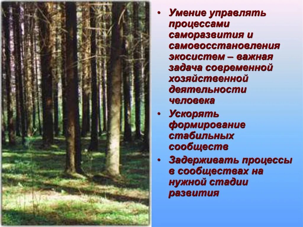 Процесс саморазвития экосистемы можно наблюдать на примере Общая характеристика экологической системы