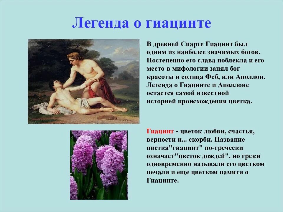 Какая информация вынесена в легенду