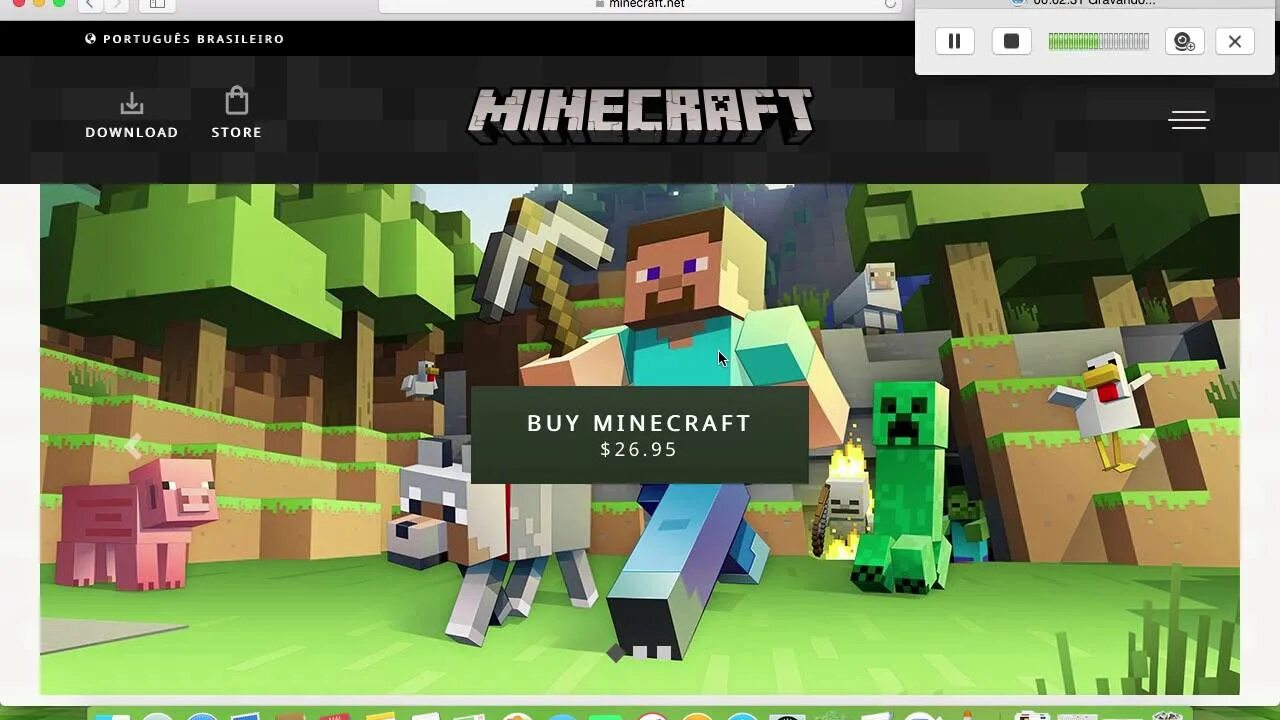 Minecraft net in