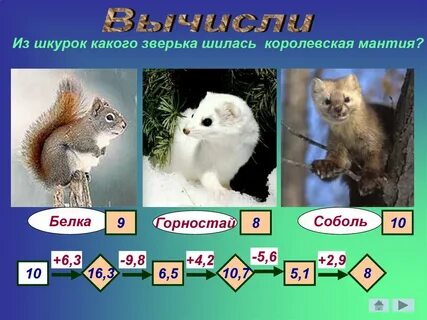 Цепь питания дуб