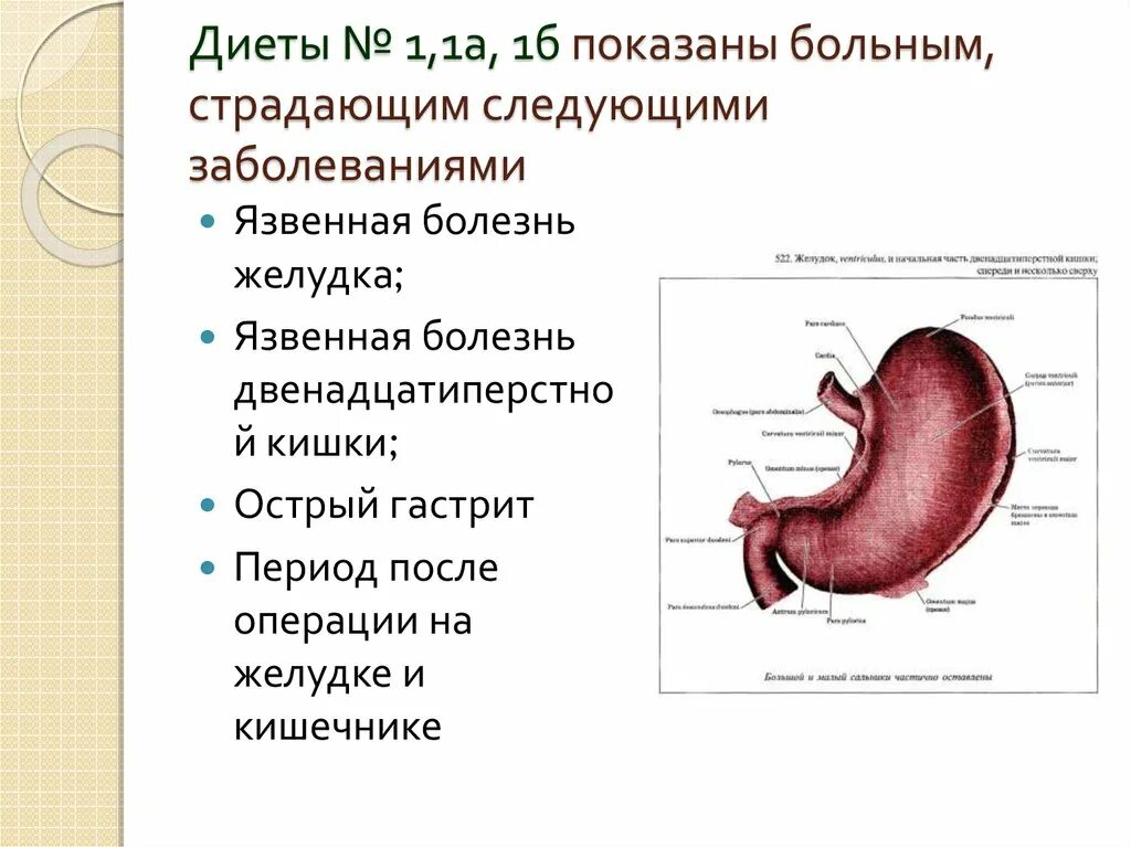 Диета 1 при язвенной болезни желудка. Диета при язвенной болезни желудка и двенадцатиперстной кишки стол. Язвенная болезнь желудка диета стол. Стол для больных язвой желудка. Продукты при язве желудка и двенадцатиперстной