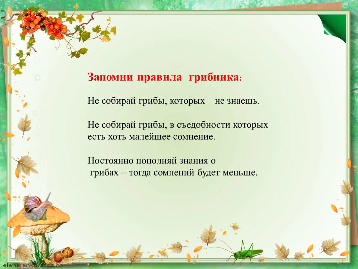 Темы докладов окружающий мир 2 класс