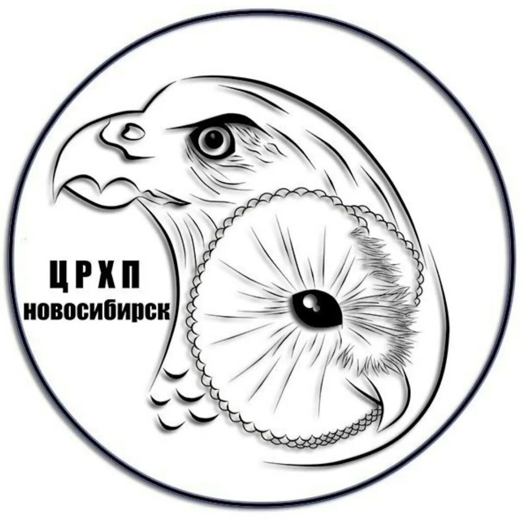 Феникс реабилитация диких животных. Нск центр реабилитации хищных птиц. реабилитация хищных птиц в новосибирске. эмблема реабилитационного центра диких животных. центр реабилитации чебоксары птицы.