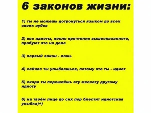 4 закона жизни