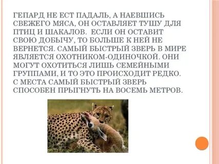 Этот хищник падаль ест 5 букв