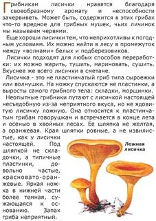Почему горчит лисичка гриб