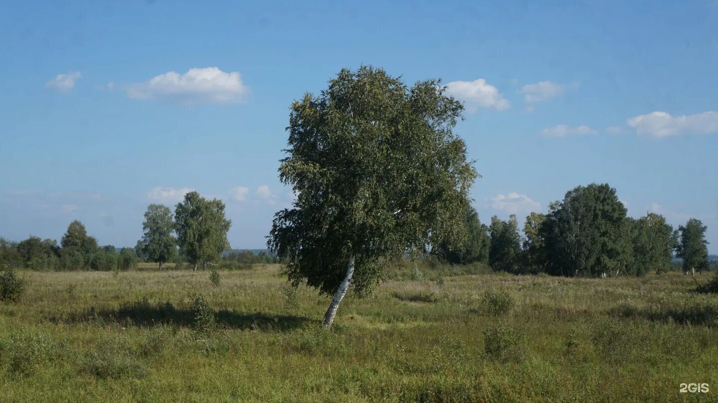 Поселок Воробьевский Новосибирская область. П Кудряшовский Новосибирская обл фото. ДНТ Славянка Новосибирск с/с Кудряшовский район. Кудряшовского сельсовета. Купить участок октября