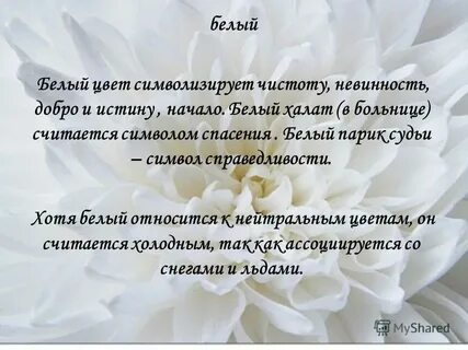 Белый цитаты