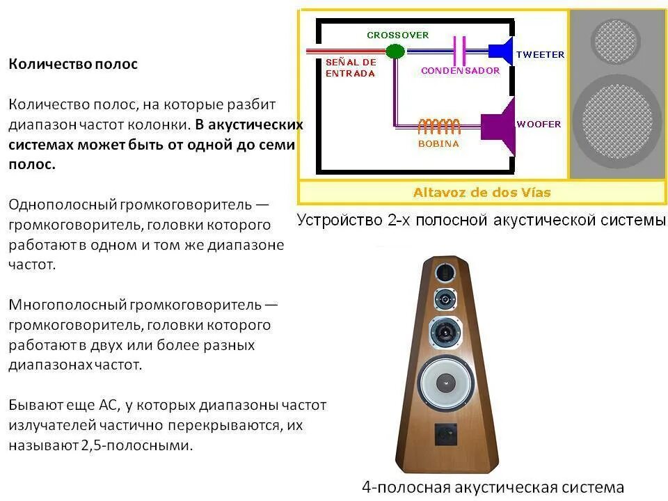 Акустические минуса. Однополосная акустическая система схема. Принцип работы акустических колонок. Принцип работы колонок схема. Схема устройства акустического динамика.