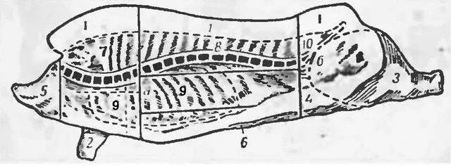 5 свиных туш. Схема разделки туши. Схема разруба свинины.
