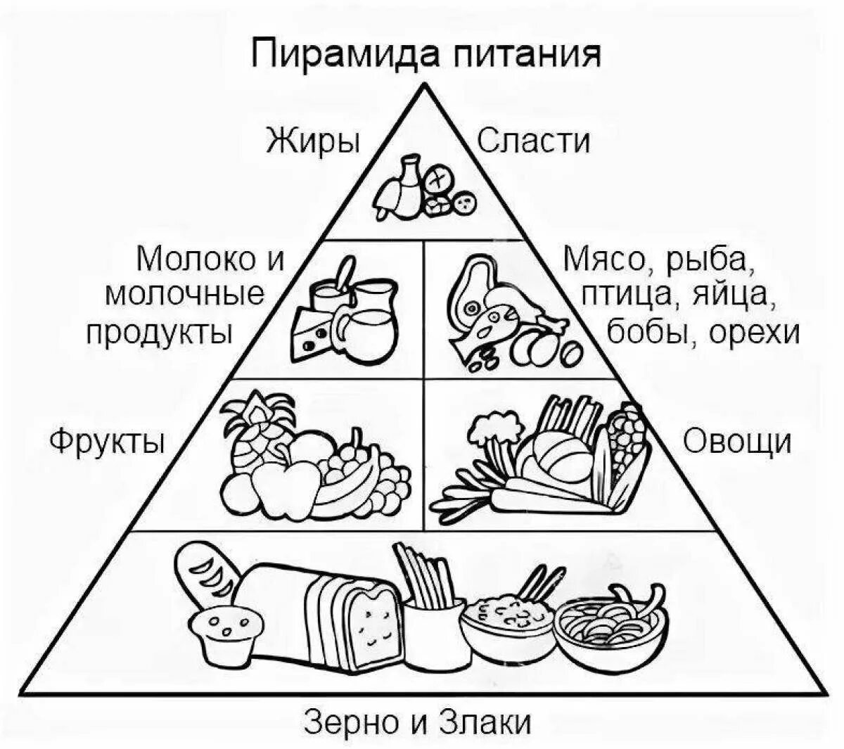 Питание рабочие листы. Пирамида здорового питания для дошкольников. Здоровое питание раскраска. Пирамида правильного питания для дошкольников. Раскраска здаровая питание.