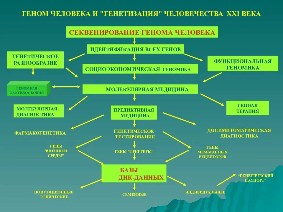 Геном человека. Генетическое разнообразие. Генетическое разнообразие человека. Генетическое развитие человека.