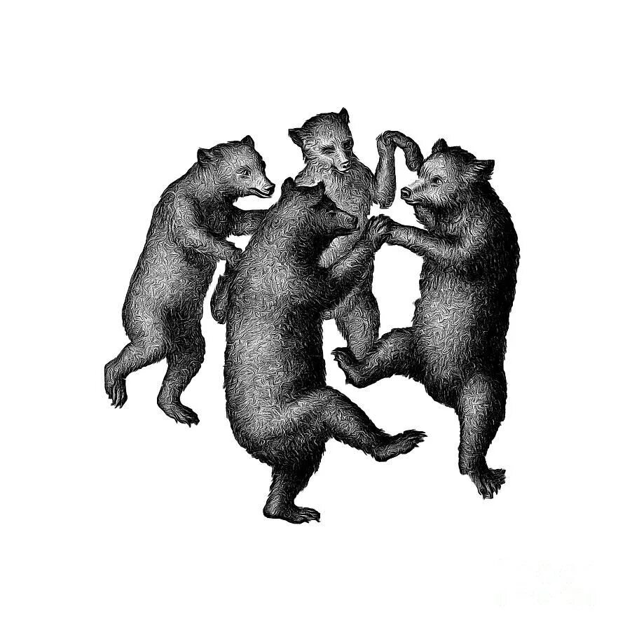 Где медведь танцует. Медведь танцует. Картина Танцующие медведи. Танцующие мишки. Медвежий танец.