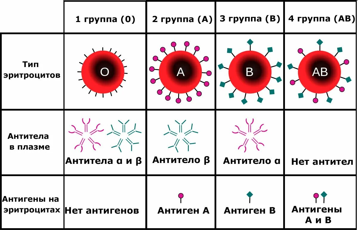 Антитела плазмы 1 группы крови. Группы крови системы ab0. Антигены эритроцитов и антитела к ним.. Антигены 4 группы крови. Ab0 группа крови. Группа крови и дальтонизм