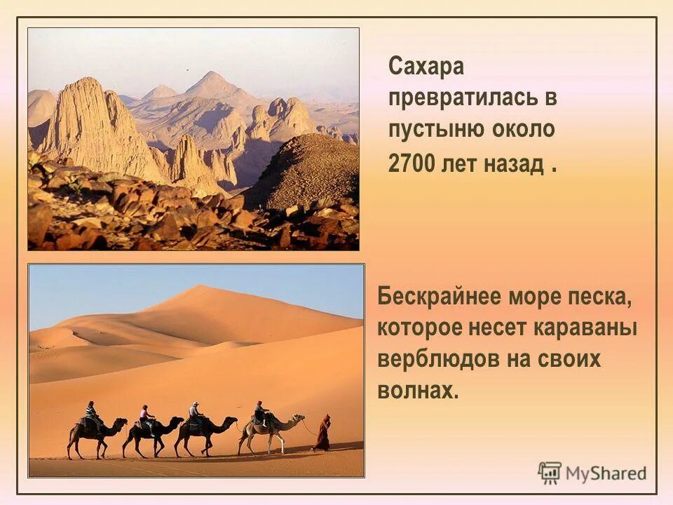 Вопросы по степной зоне. Тесты по теме пустыни. Тест по окружающему миру 4 класс пустыни. Тест пустыни 4 класс. В ледяной пустыне 4 класс тест с ответами.