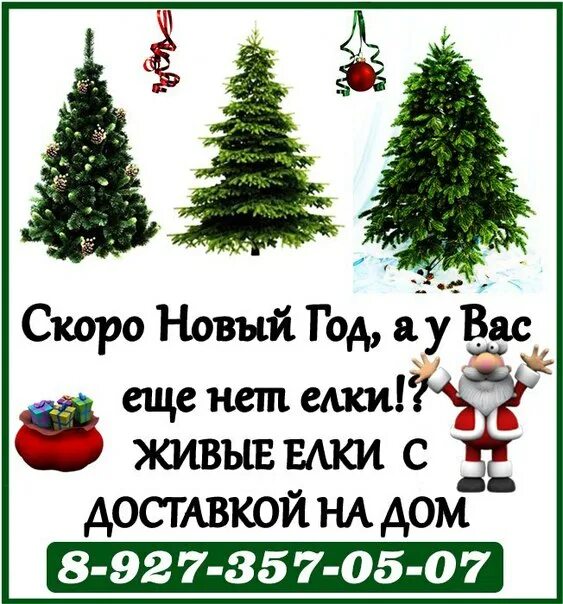 Кармаскалы елка. Елка в Кармаскалах. Как красиво назвать елочку сосну ж. А ты ещё и ёлки от сосны. По прежнему сосна и елочка повторяли свою