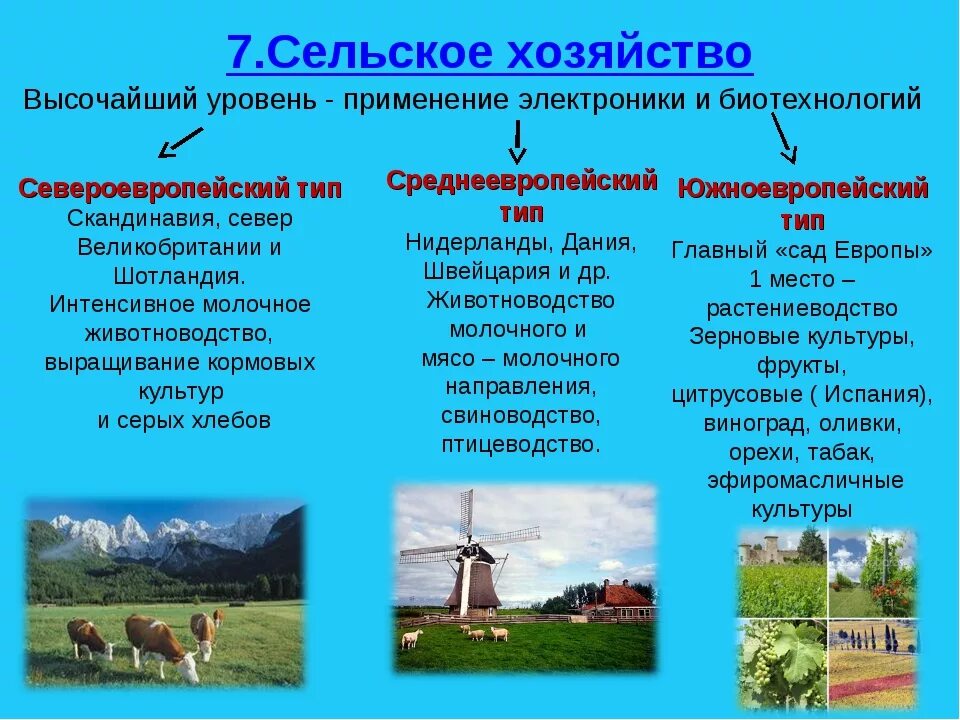 Особенности характерные для сельского хозяйства. Сельское хозяйство зарубежной европы таблица. отрасли специализации сельского хозяйства зарубежной европы. сельское хозяйство стран зарубежной европы таблица. типы сельского хозяйства зарубежной европы.