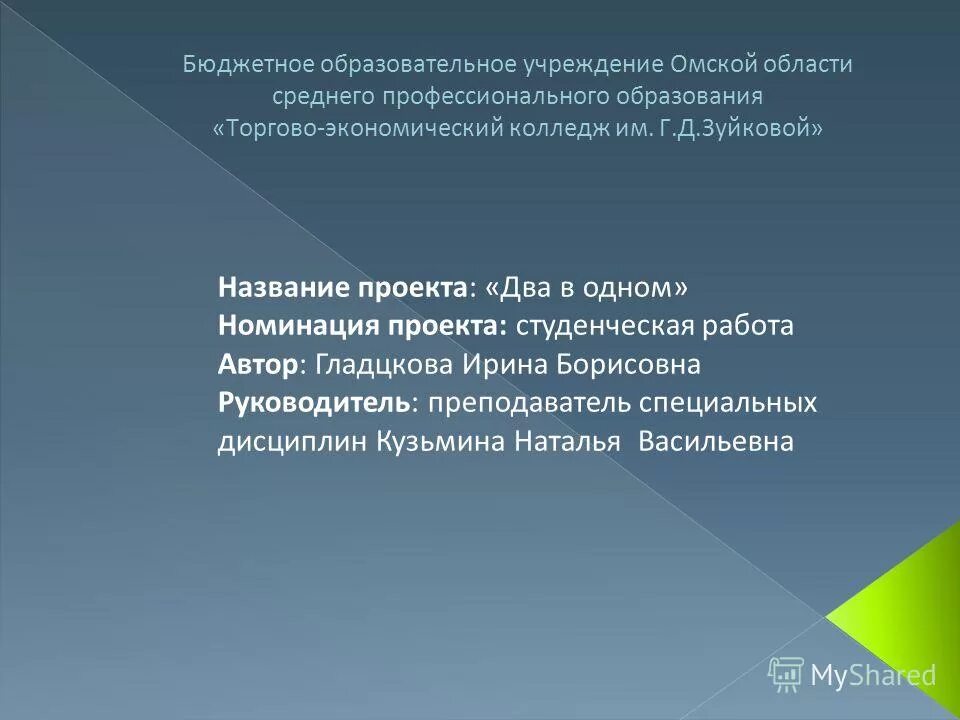 Бюджетные профессиональные образовательные учреждения омской области