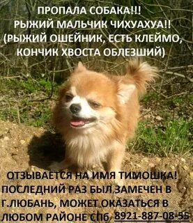 Не отзывается на имя