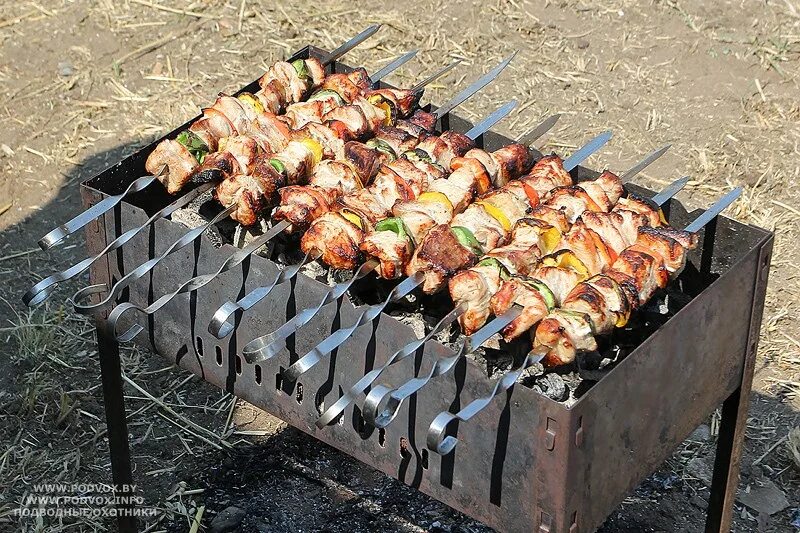 Сазан на мангале. Сазан на углях на решетке. Рыба сазан шашлык. Шашлычки из рыбы холодного копчения. Шашлык из сазана.