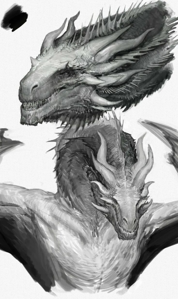 Dragon noir. Балерион дракон. Светлый дракон. Дракон Графика профессиональная. Балерион черный ужас.