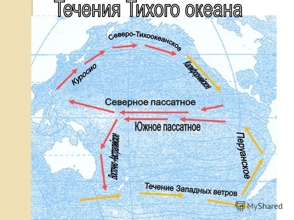 Укажите холодное течение. Северное пассатное течение в Атлантическом океане. Куросио, Южное пассатное , Гольфстрим. Северное пассатное течение на карте. Теплое и Холодное течение Тихого океана.