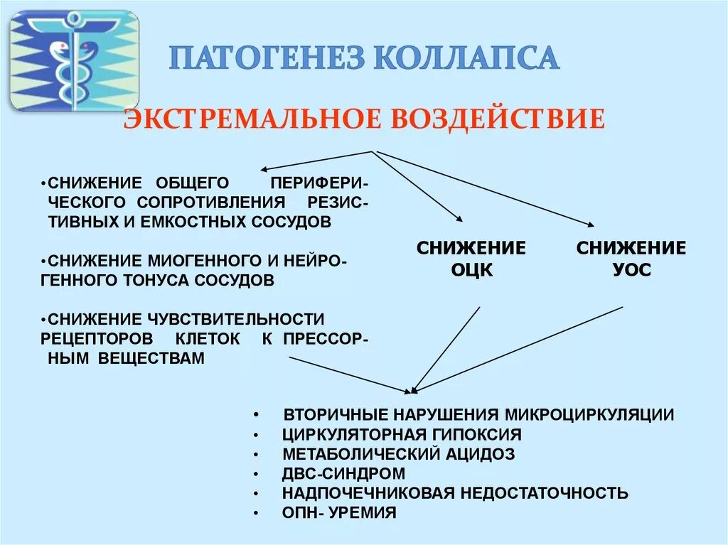 Коллапс патогенез. Механизм развития коллапса. Коллапс этиология. Патогенез коллапса патофизиология.