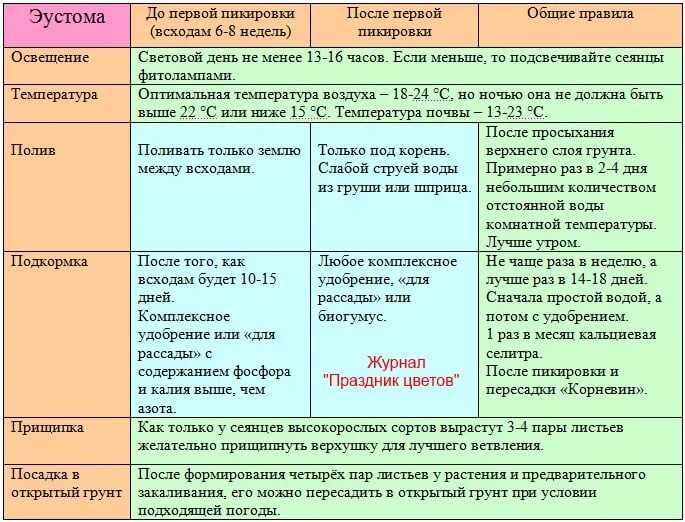 Эустома сроки посадки на рассаду. Схема подкормки эустомы. Удобрения для эустомы рассады. Таблица подкормки эустомы. Сроки посева помидор на рассаду в 2024