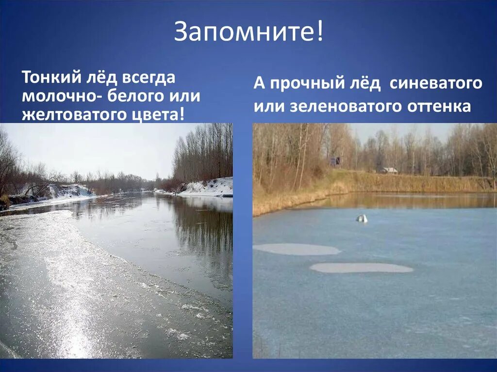 Тонкий лед молочно белого цвета. В каких местах лед более прочный. В каких местах лед более прочный. Опасные места где лед может быть тоньше. Места где лед тонкий.