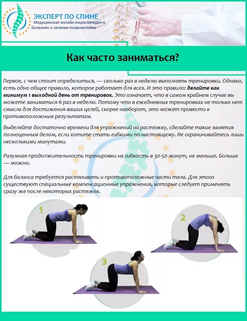Что обеспечивает гибкость позвоночника. Гибкость позвоночника норма. Определение гибкости позвоночника. Определение гибкости позвоночника. Почему позвоночник гибкий.