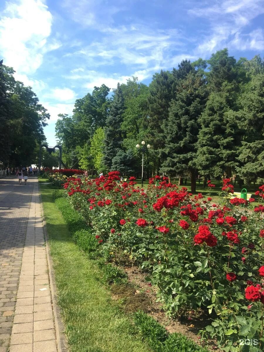 Где сады в краснодаре. Краснодар Горсад парк. Парк Горького Краснодар. Постовая улица Краснодар парк. Краснодар Дендрарий Ботанический.