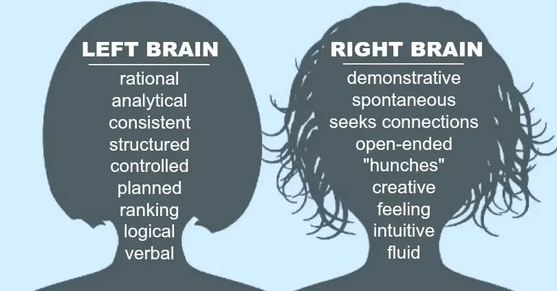 Leave the brain. Left Brain right Brain. Are you right or left Brain. Right-Brained and left-Brained people. Right or left Brain Quiz.
