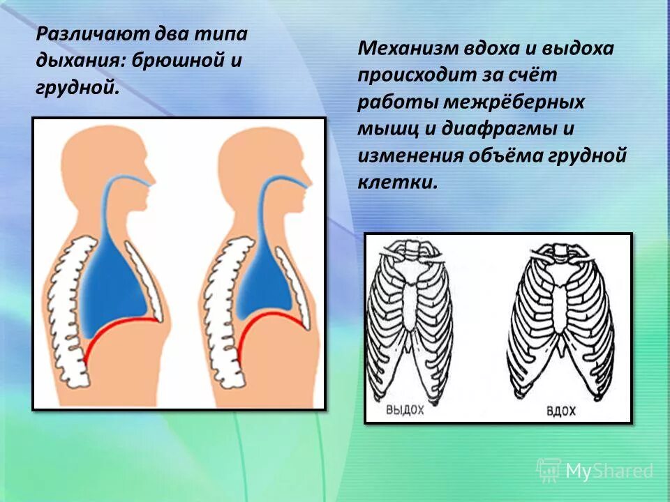 Боль во время вдоха