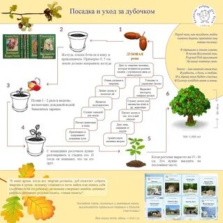Карта посадок