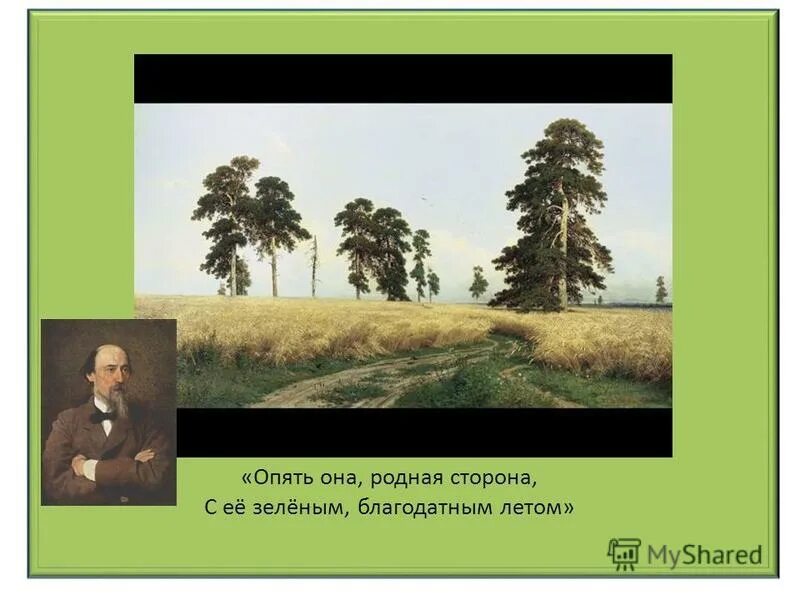 Родная сторона чужая. Опять она родная сторона с ее зеленым благодатным летом. Опять она родная сторона. Родина Некрасов. Родина Некрасова картины.