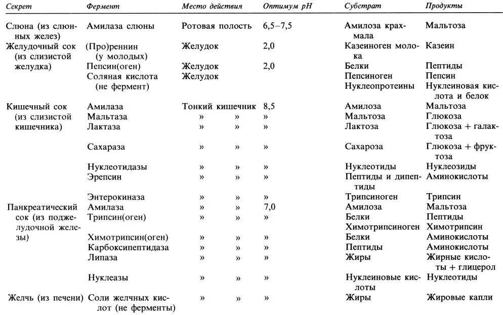 Пищеварительные ферменты продукты