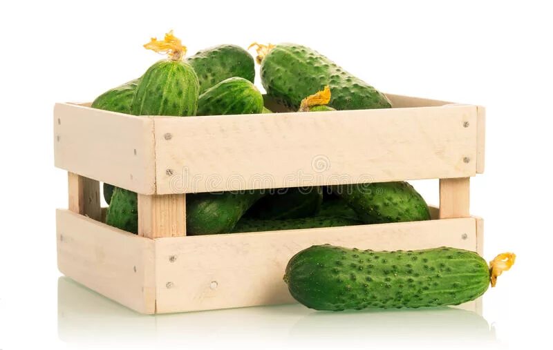Ящик с огурцами в три раза. Коробка с огурцами. Ящик огурцов. Огурцы в коробке. Сколько огурцов в кг.
