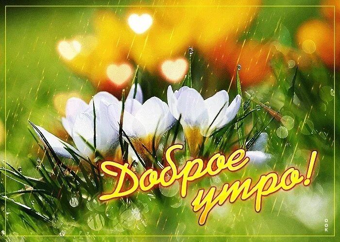 Доброго позитивного весеннего утра картинки позитивные. Доброе весеннее утро хорошего дня. хорошего весеннего утра. открытки с добрым утром весенние. солнечный весенний день.