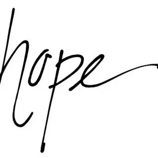 Hope on hope off