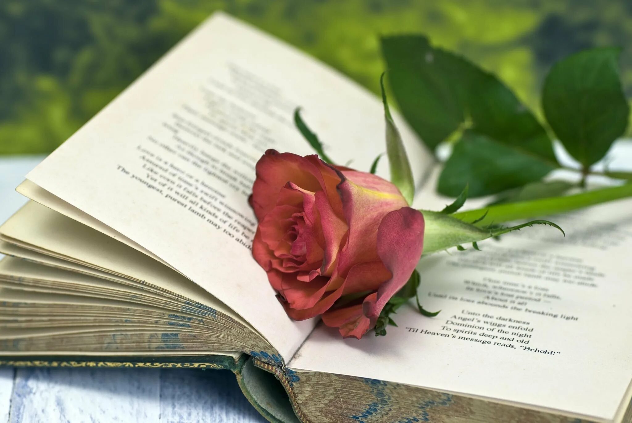 Проза картинка. Поэзия. Поэзия картинки. Поэтическое Вдохновение. Книга поэзия.