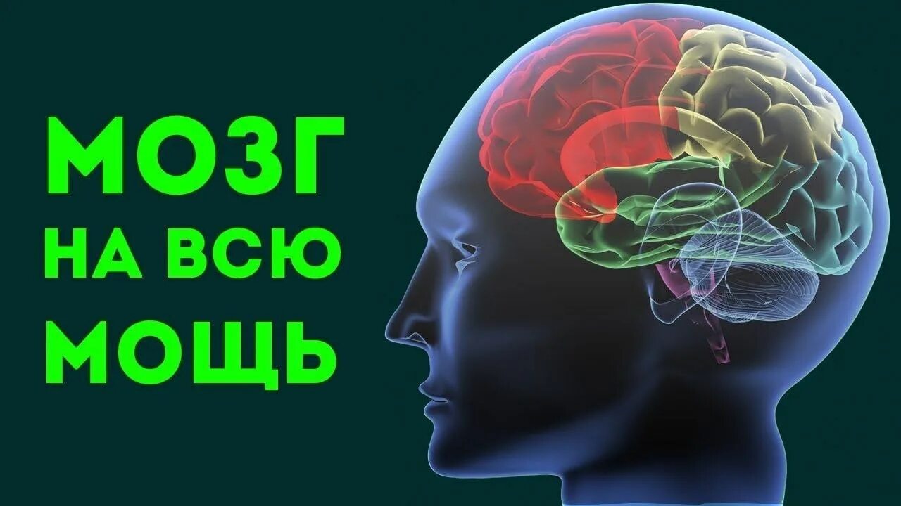 Что такое давать мозг. Мозг человека используется. прокачка мозга.