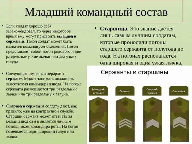 Лицо младшего командного состава капитанская