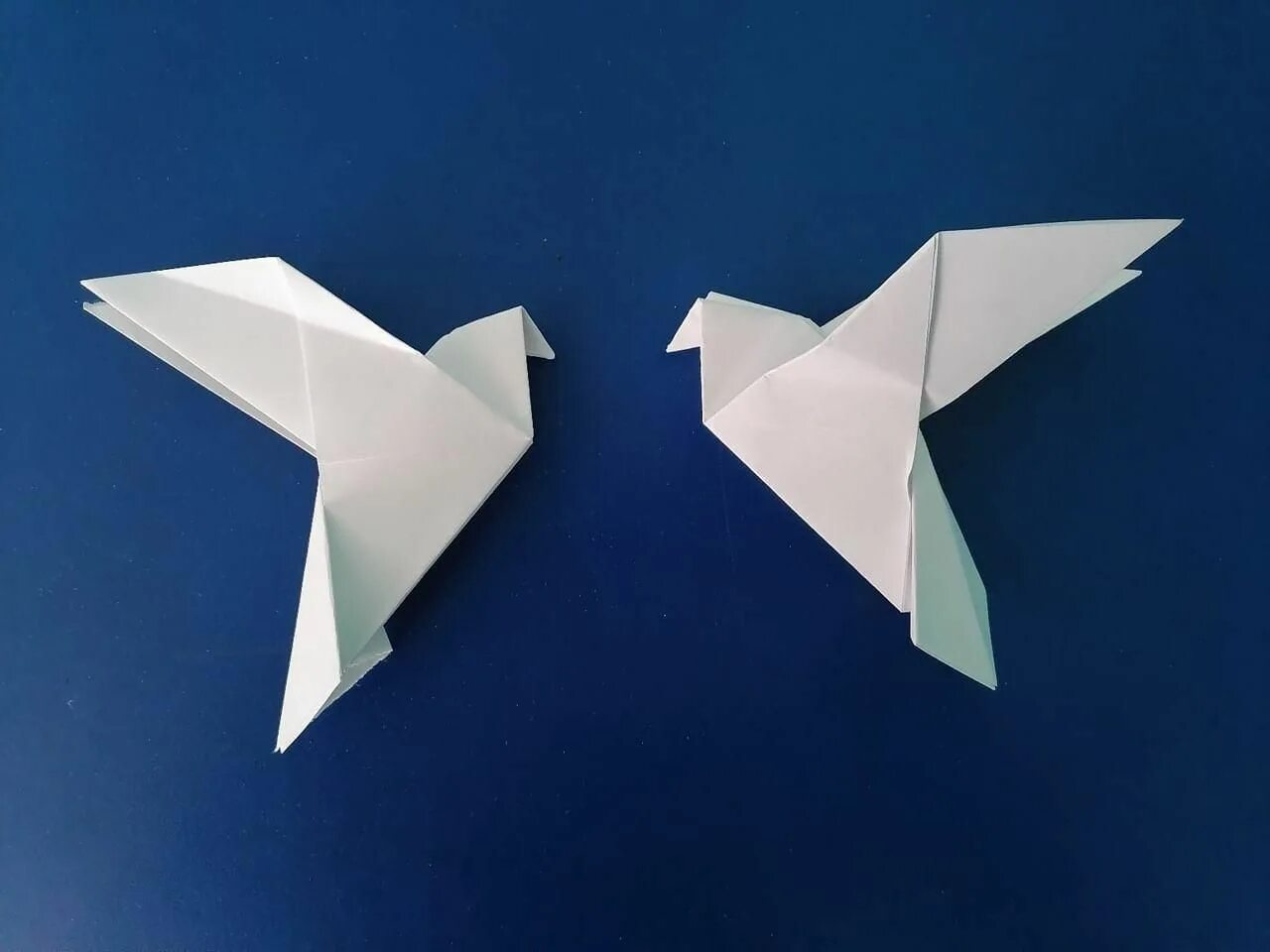 Легкая птичка из бумаги. Оригами. Оригами птичка. Оригами голубь. Бумажная птица оригами.