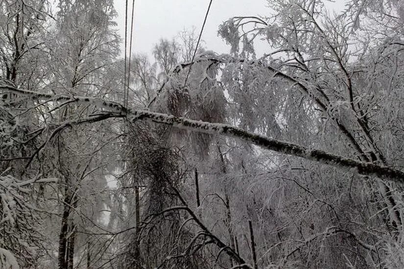 Ветка на проводах. Налипание мокрого снега на провода. Линия электропередачи в снегопад. Упавшее дерево на провода ЛЭП. Ночью на мокрые деревья упал снег сравнение