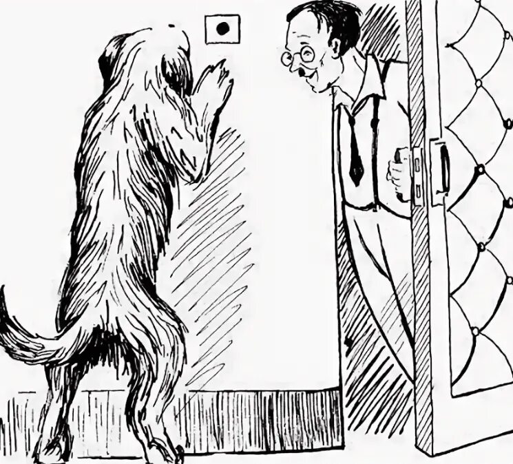 Зощенко умная собака. Умная собака зощенко. Иллюстрации к умной собаке зощенко рассказы. М зощенко умные животные. Зощенко умная собака.