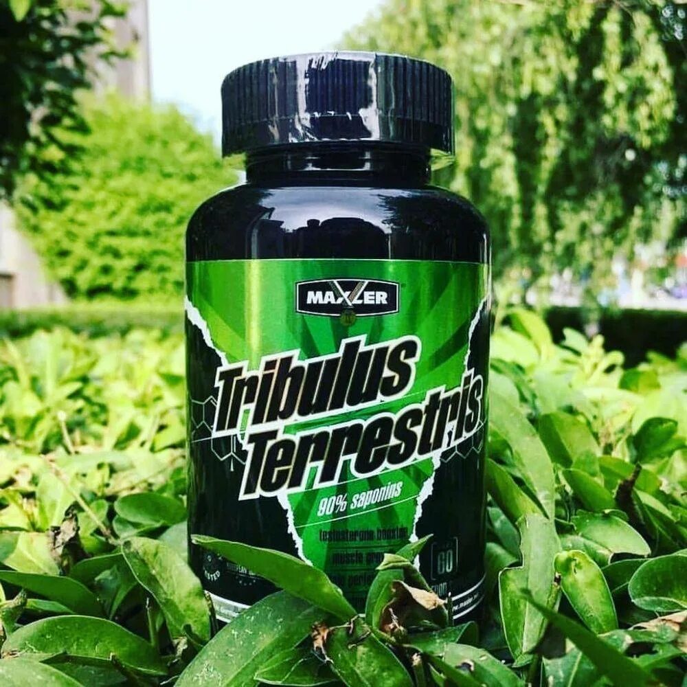 Трибулус террестрис (Tribulus terrestris). Maxler Tribulus terrestris 1200 MG 60 капс. Tribulus 1000 спортивное питание. Трибулус бустер тестостерона. Бустер тестостерона для мужчин