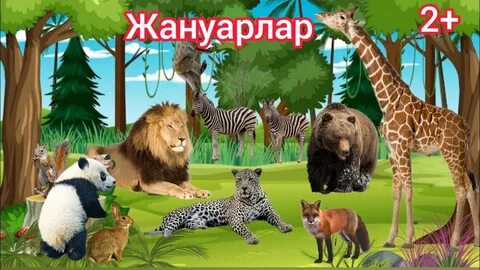 Колготки арқылы секс порно