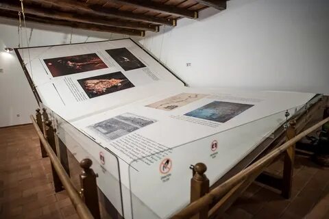 Большая книга фото