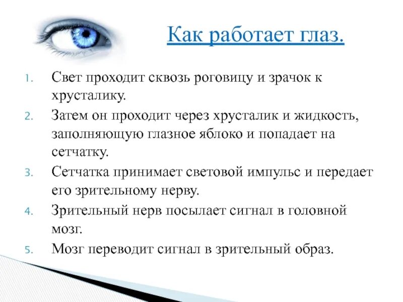 Последовательность прохождения луча света в глазном. Последовательность передачи светового сигнала по структурам глаза. Последовательность проникновения света в глаз. Прохождение света через глаз. Как работает глаз.